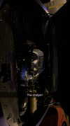 rinnibunnyy Altpins Profile Picture