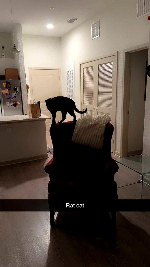 rinnibunnyy snapchat image archive image
