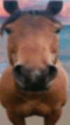 rinnibunnyy Altpins Profile Picture