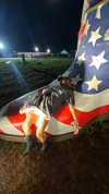sadie.mckenna Altpins Profile Picture