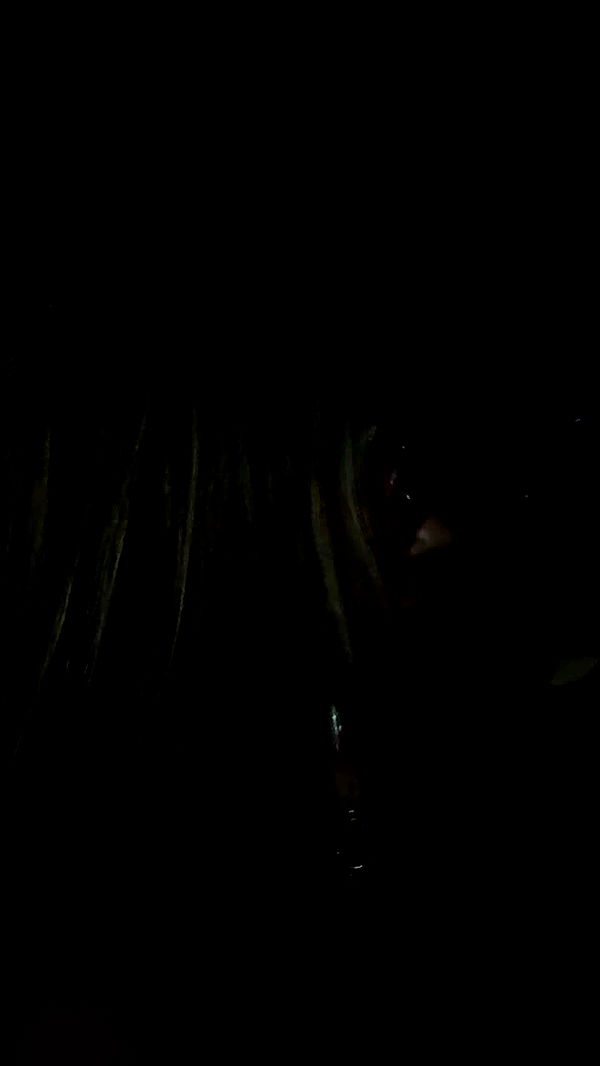 sadie.mckenna image ~ Altpins