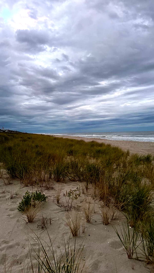 sadie.mckenna image ~ Altpins