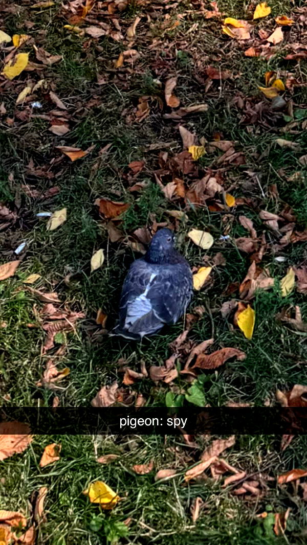 sadie.mckenna image ~ Altpins