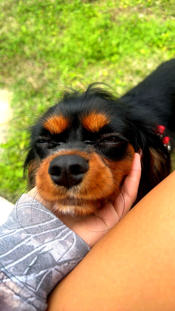 sadie.mckenna image ~ Altpins