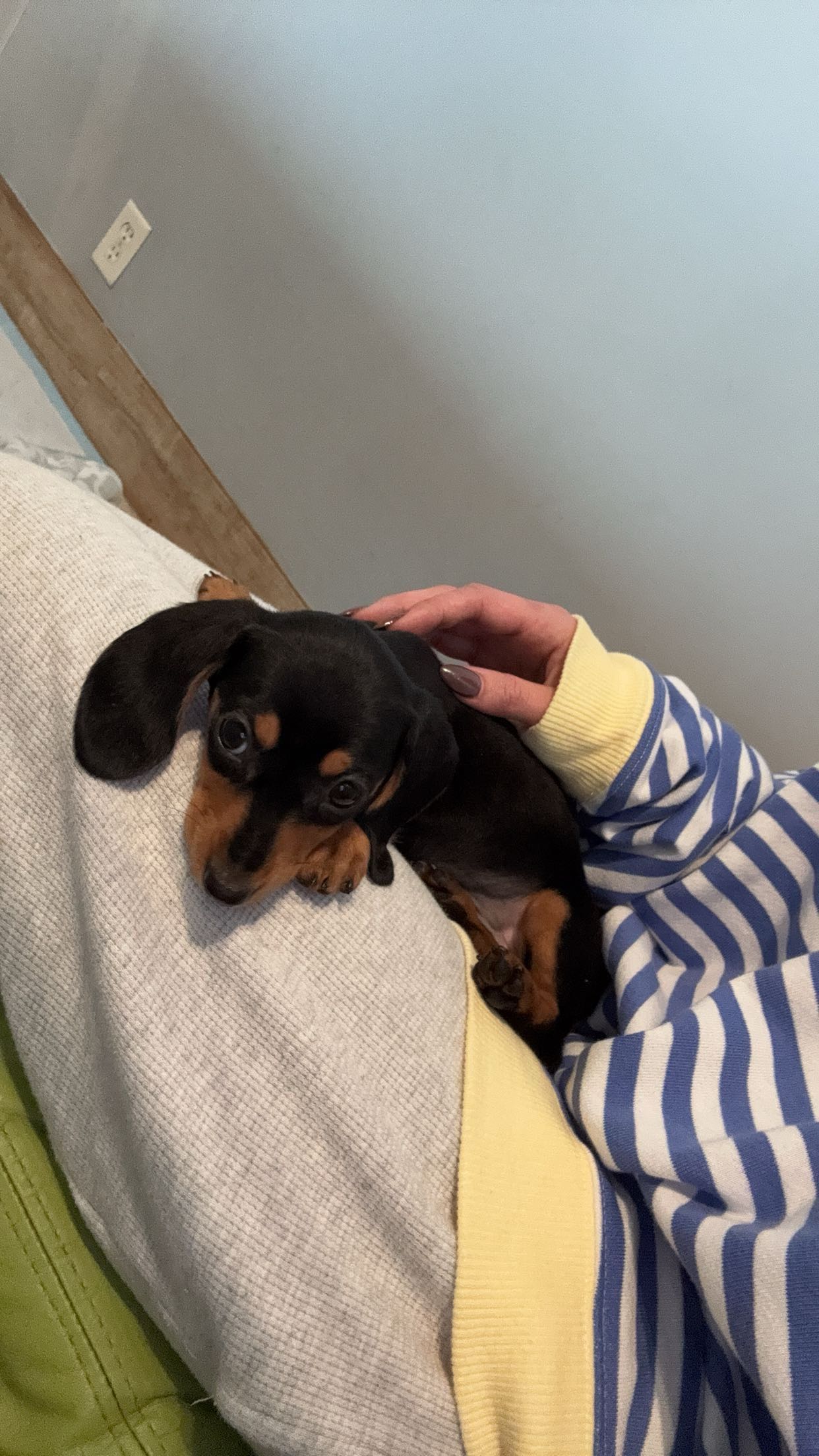 sadie.mckenna snapchat image archive image