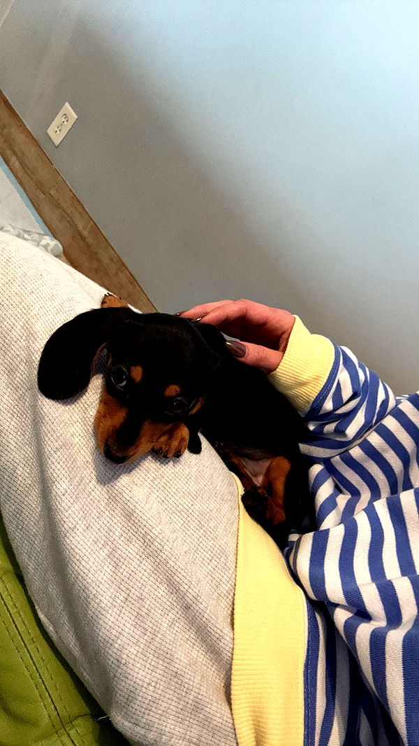 sadie.mckenna image ~ Altpins