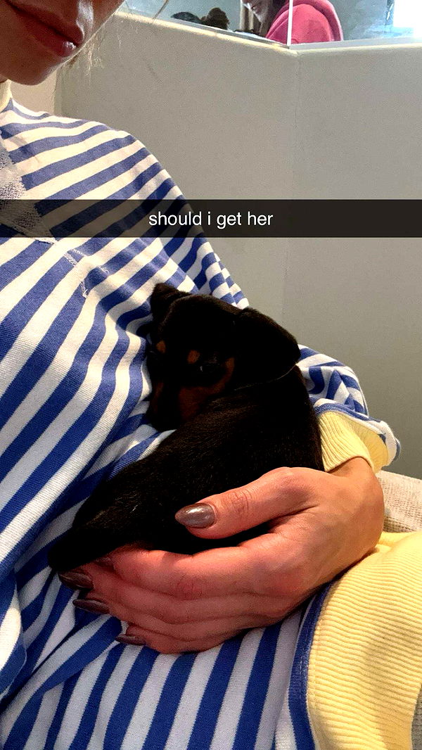 sadie.mckenna image ~ Altpins