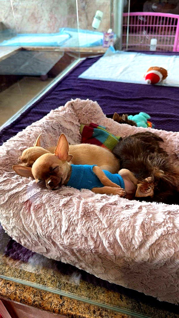 sadie.mckenna image ~ Altpins