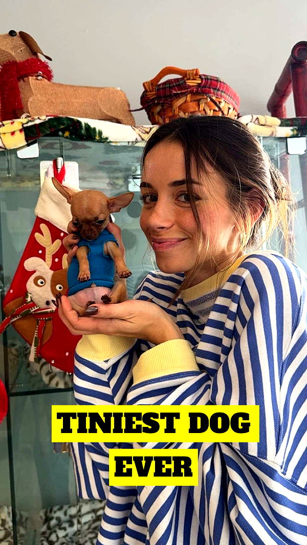 sadie.mckenna image ~ Altpins