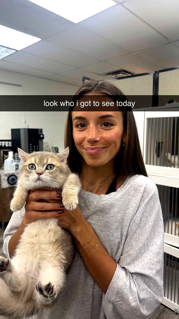 sadie.mckenna image ~ Altpins