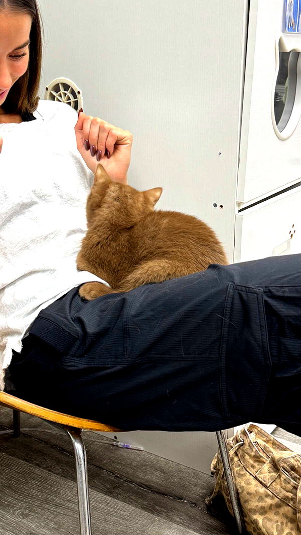 sadie.mckenna image ~ Altpins