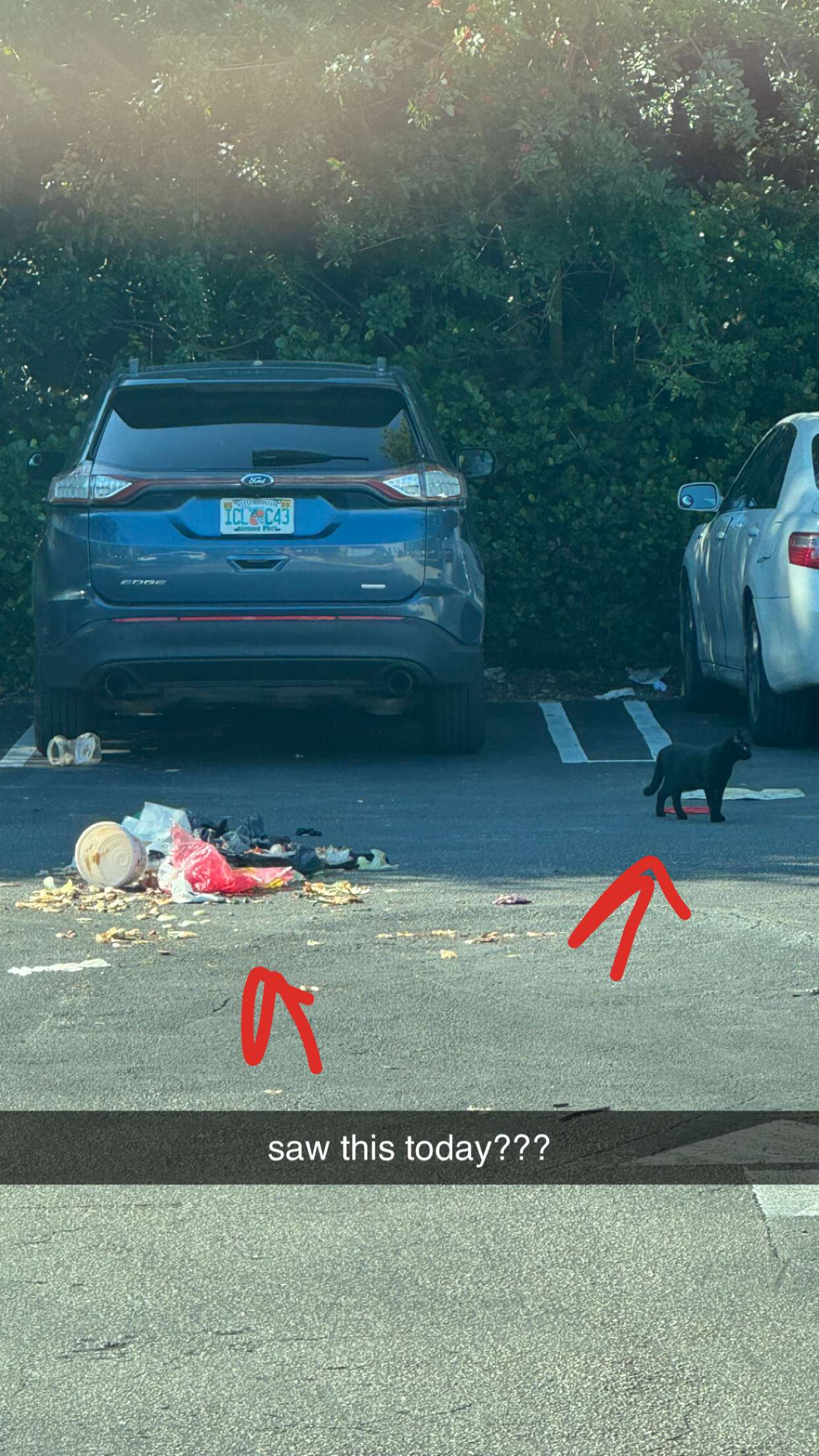 sadie.mckenna snapchat image archive image