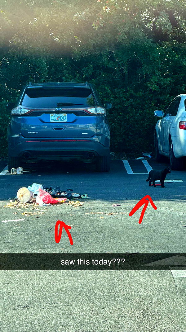 sadie.mckenna image ~ Altpins