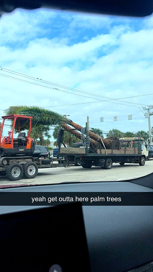 sadie.mckenna image ~ Altpins