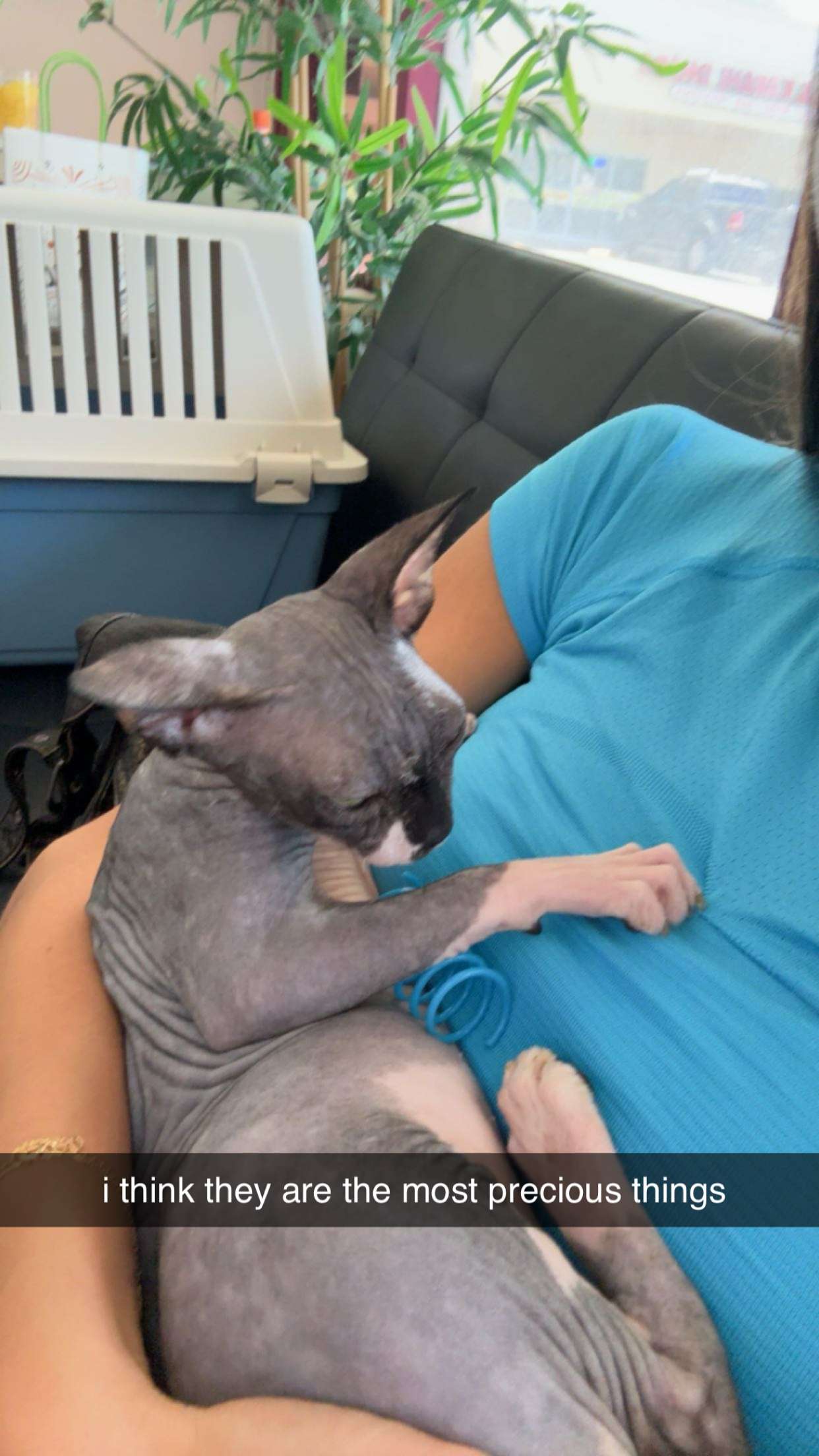 sadie.mckenna snapchat image archive image