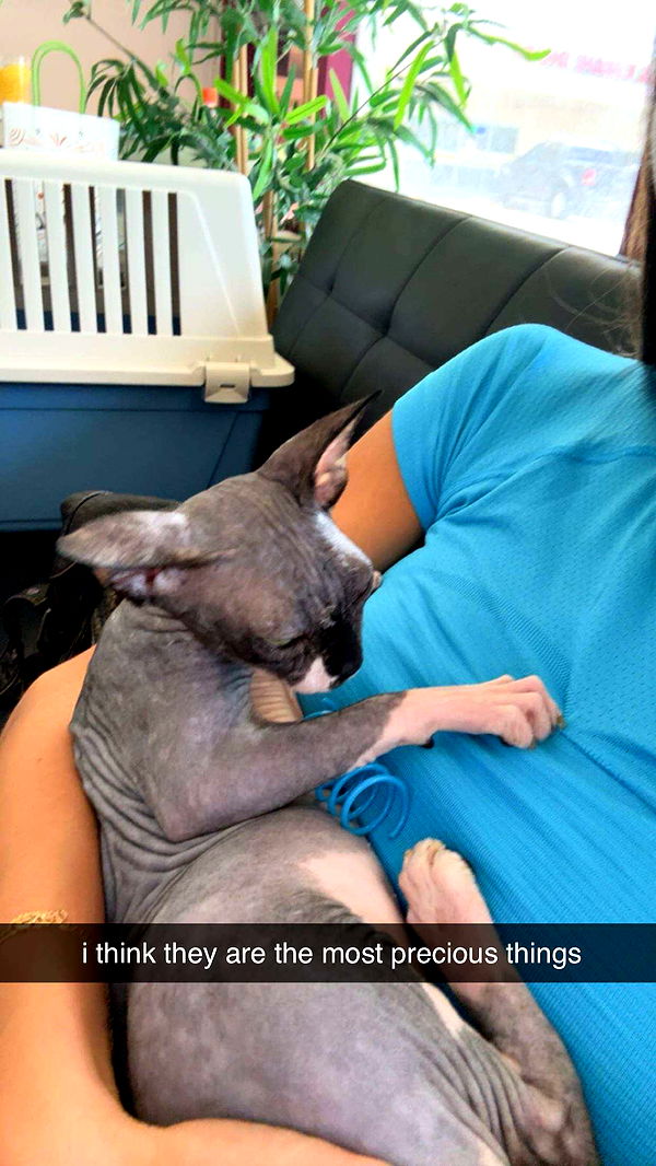 sadie.mckenna image ~ Altpins