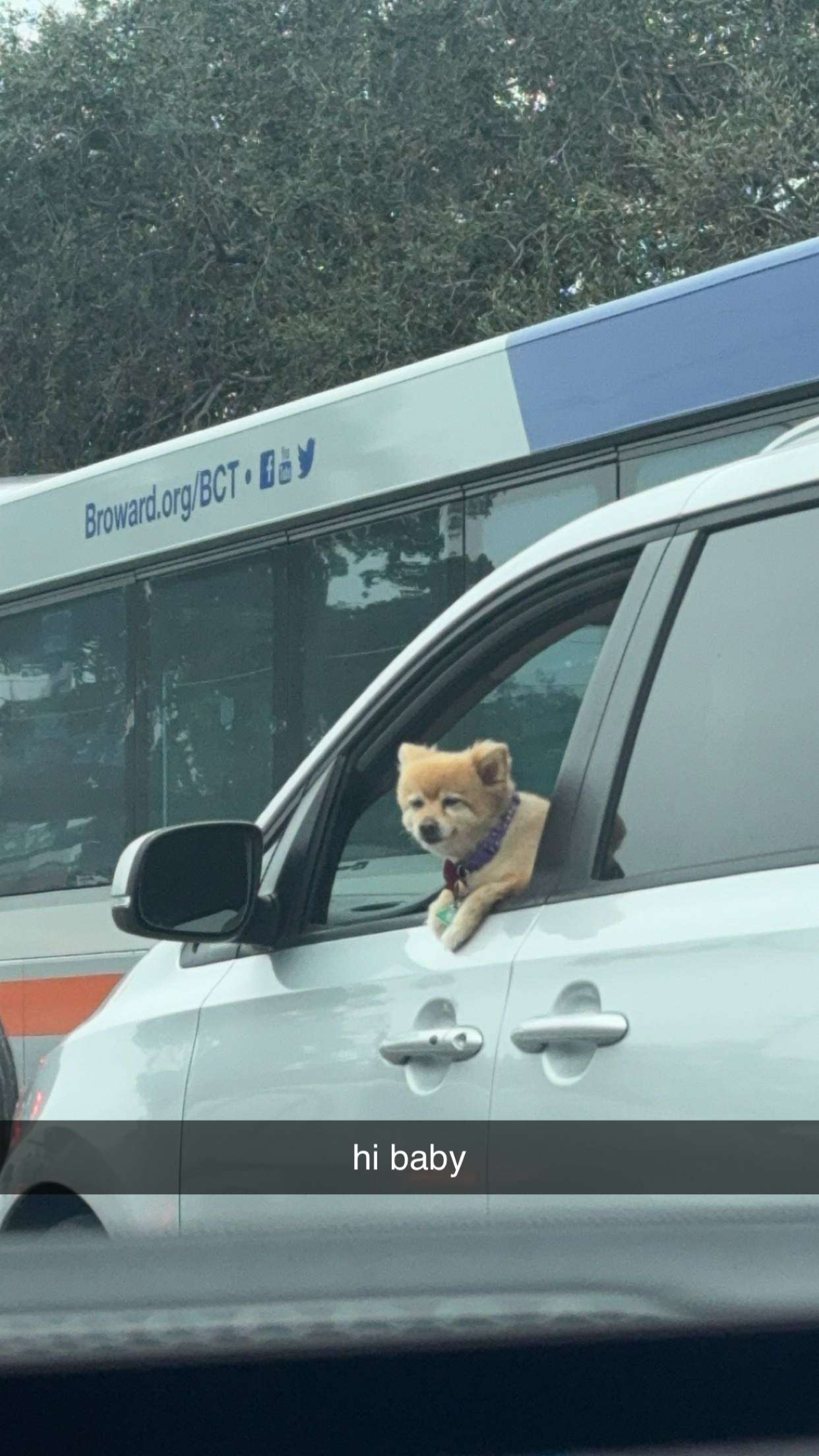 sadie.mckenna snapchat image archive image