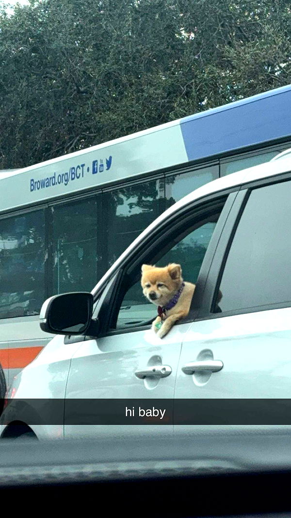 sadie.mckenna image ~ Altpins