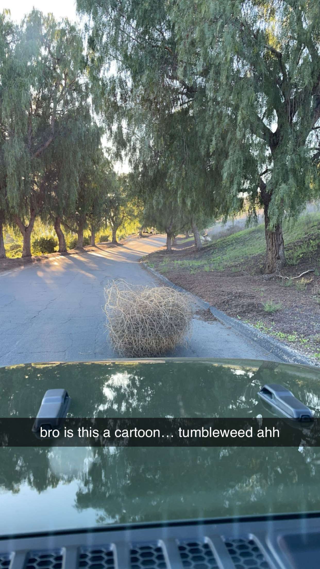 sadie.mckenna snapchat image archive image