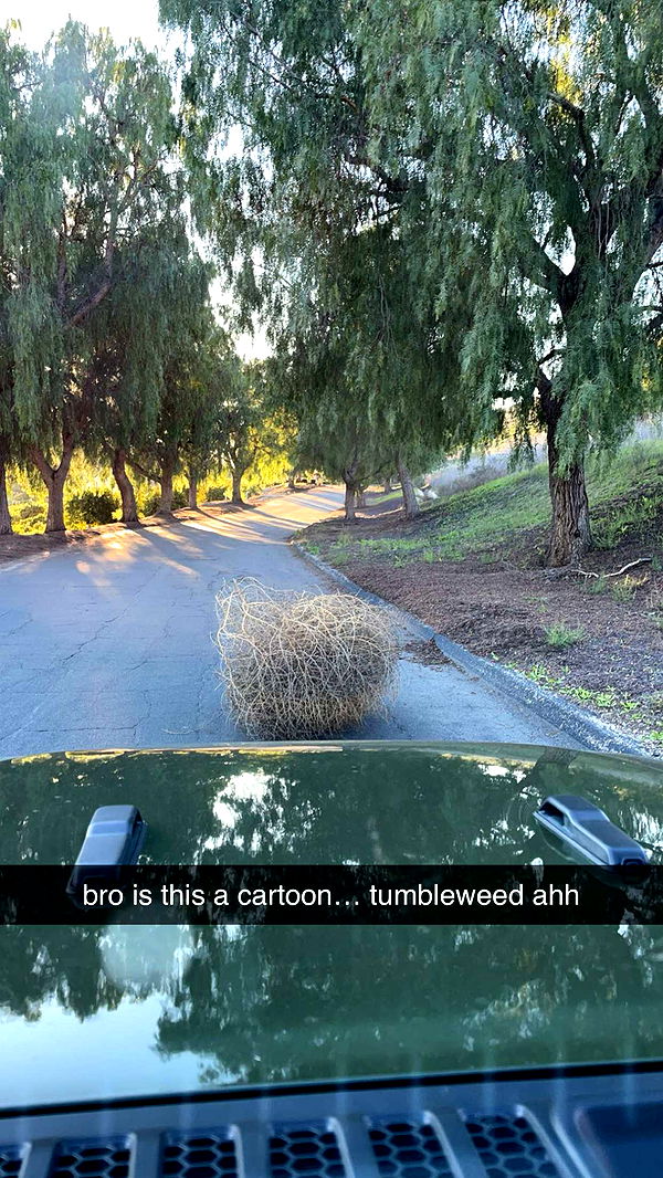 sadie.mckenna image ~ Altpins