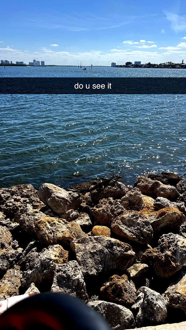 sadie.mckenna image ~ Altpins