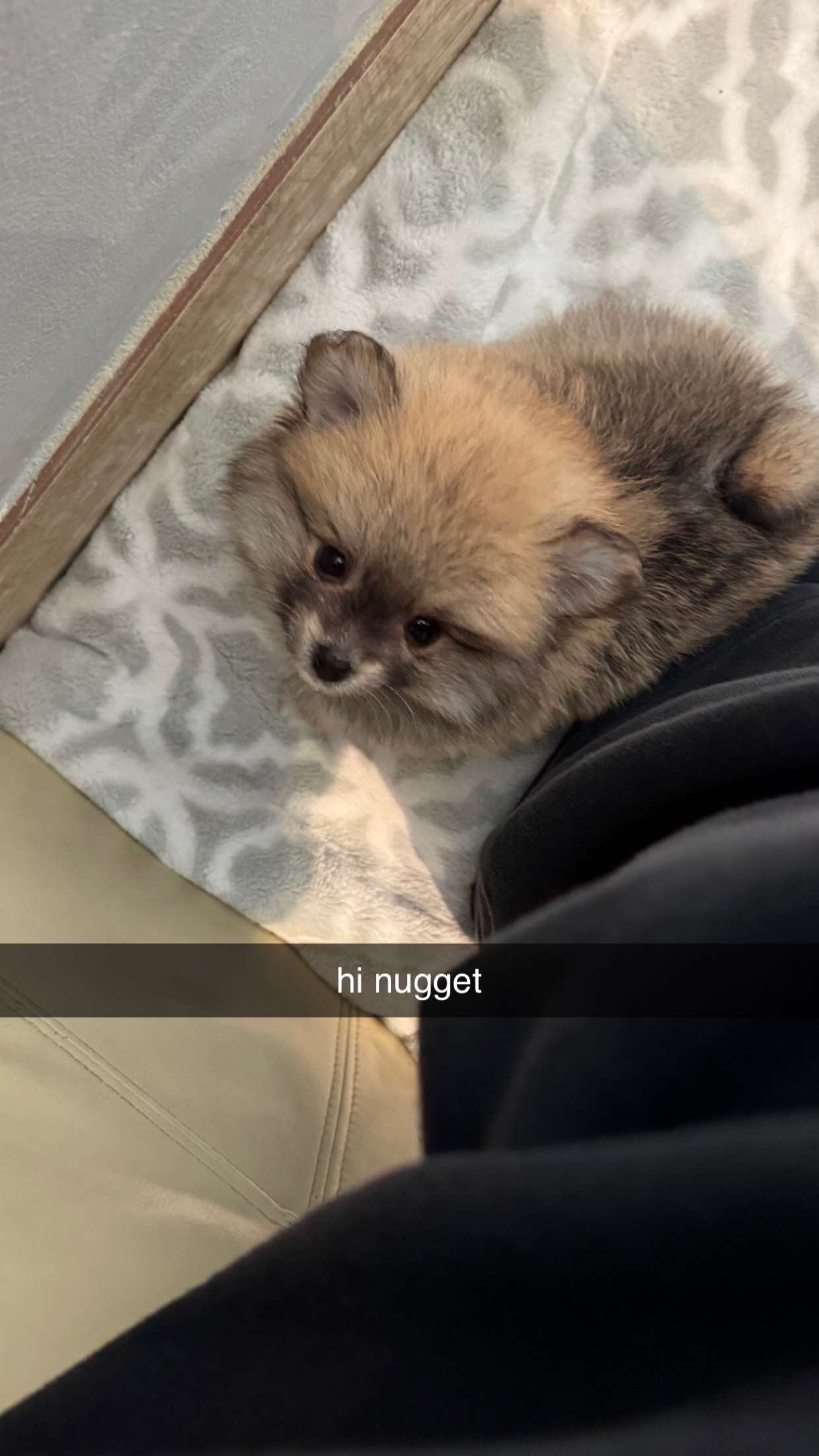 sadie.mckenna snapchat image archive image