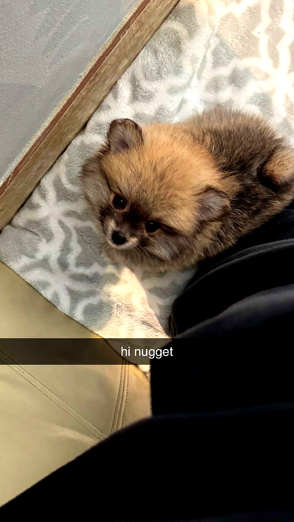 sadie.mckenna image ~ Altpins