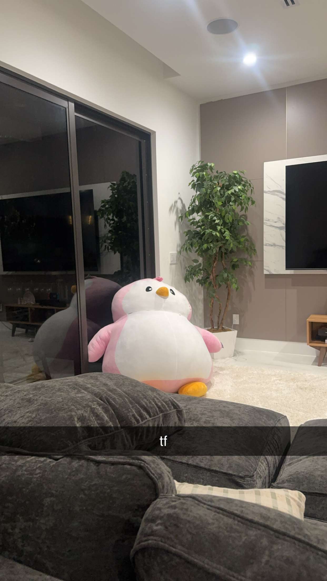 sadie.mckenna snapchat image archive image