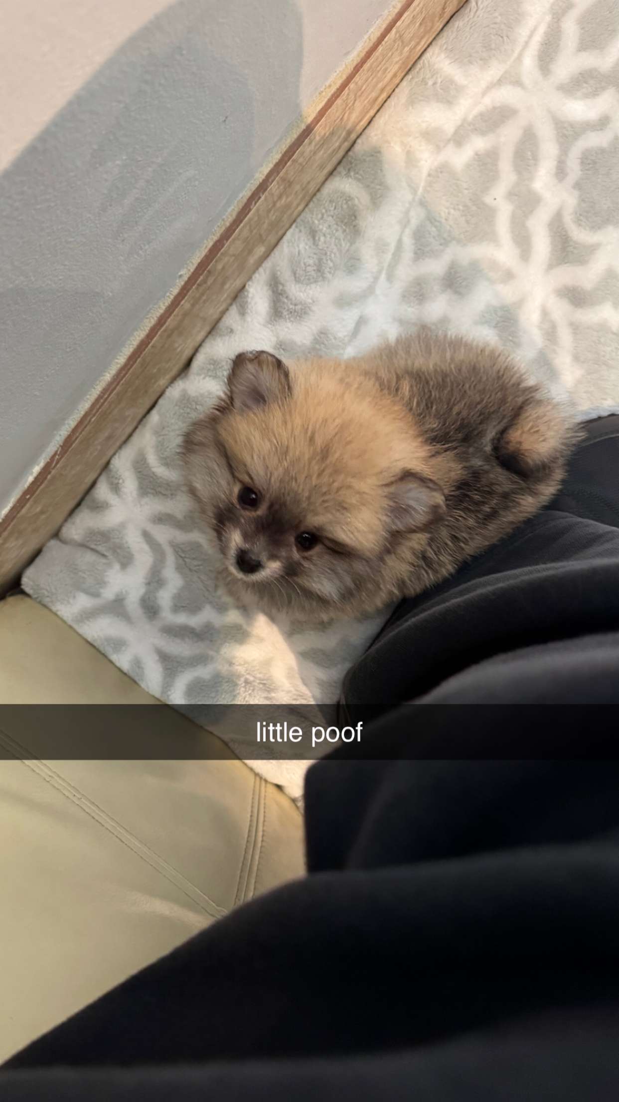 sadie.mckenna snapchat image archive image