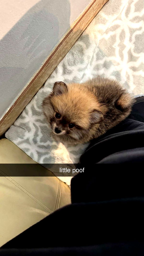 sadie.mckenna image ~ Altpins