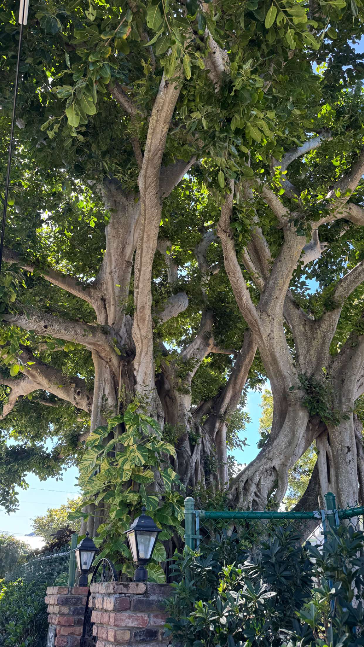 sadie.mckenna snapchat image archive image