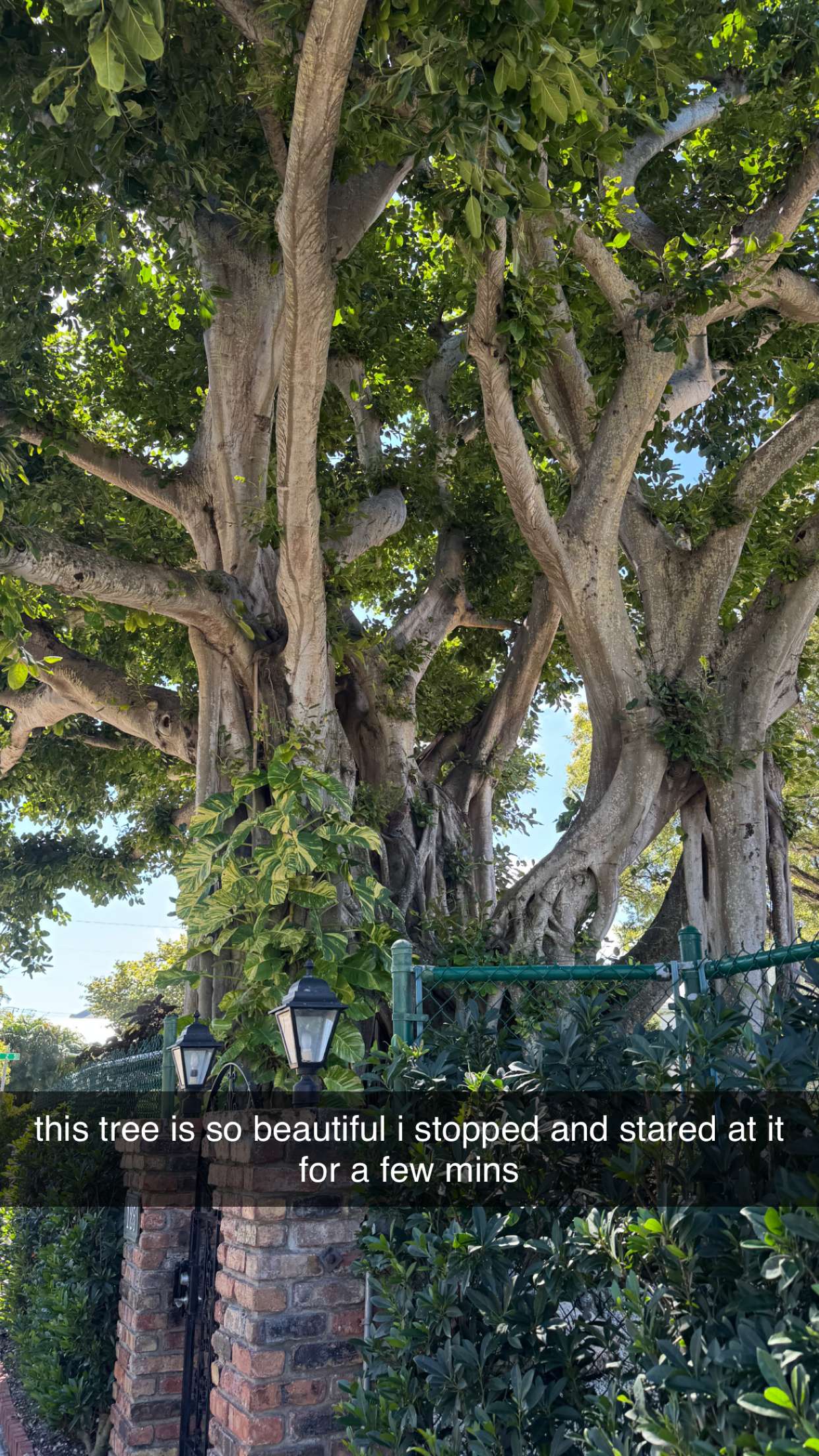 sadie.mckenna snapchat image archive image