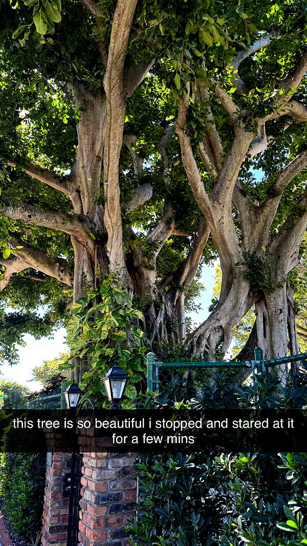 sadie.mckenna image ~ Altpins