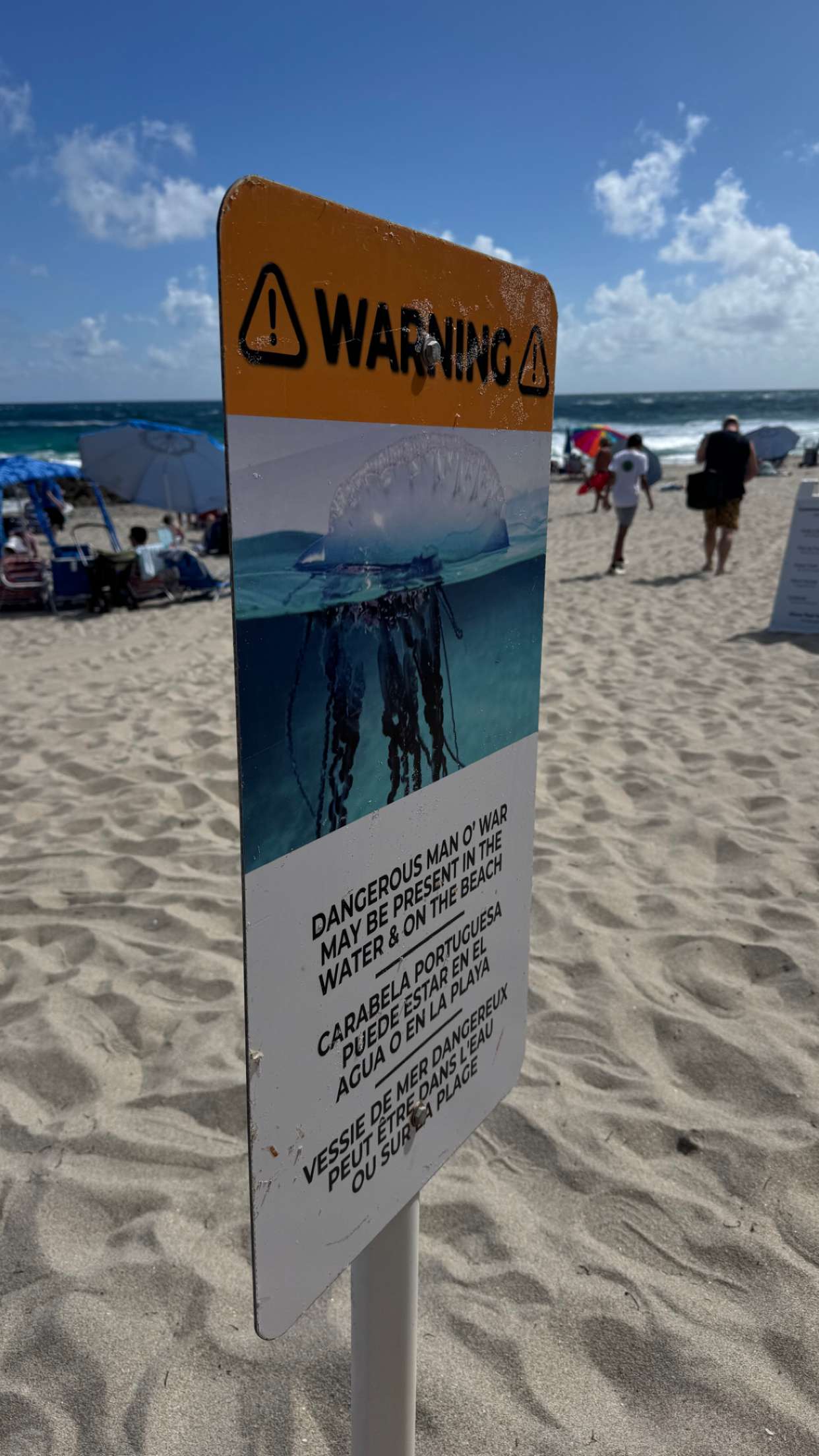 sadie.mckenna snapchat image archive image