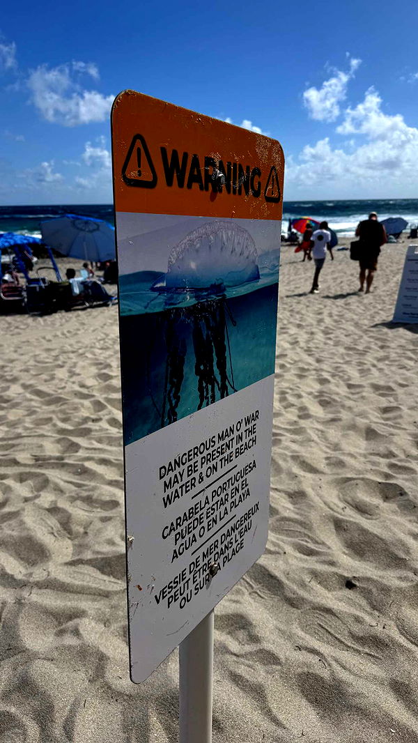 sadie.mckenna image ~ Altpins