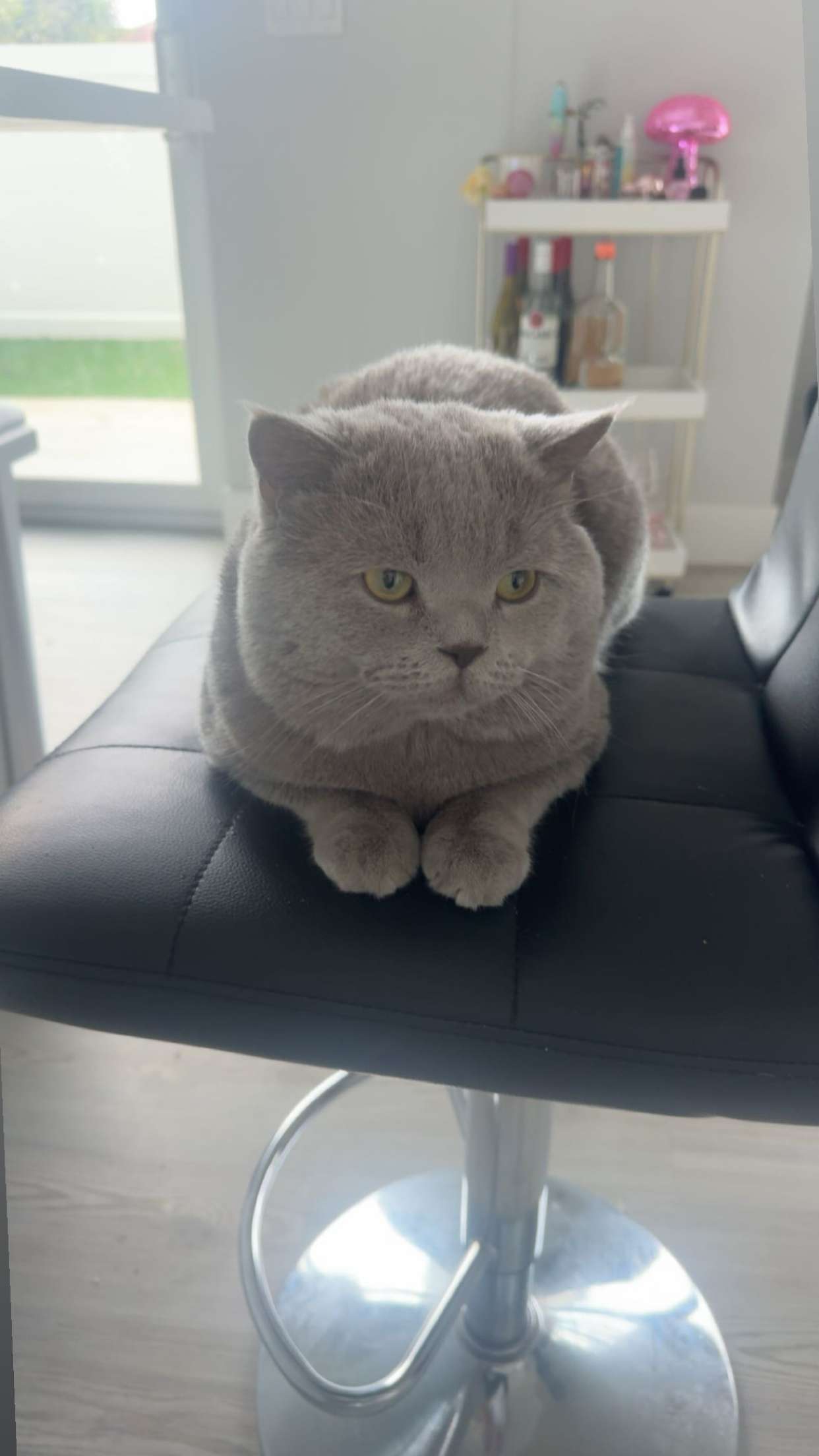 sadie.mckenna snapchat image archive image