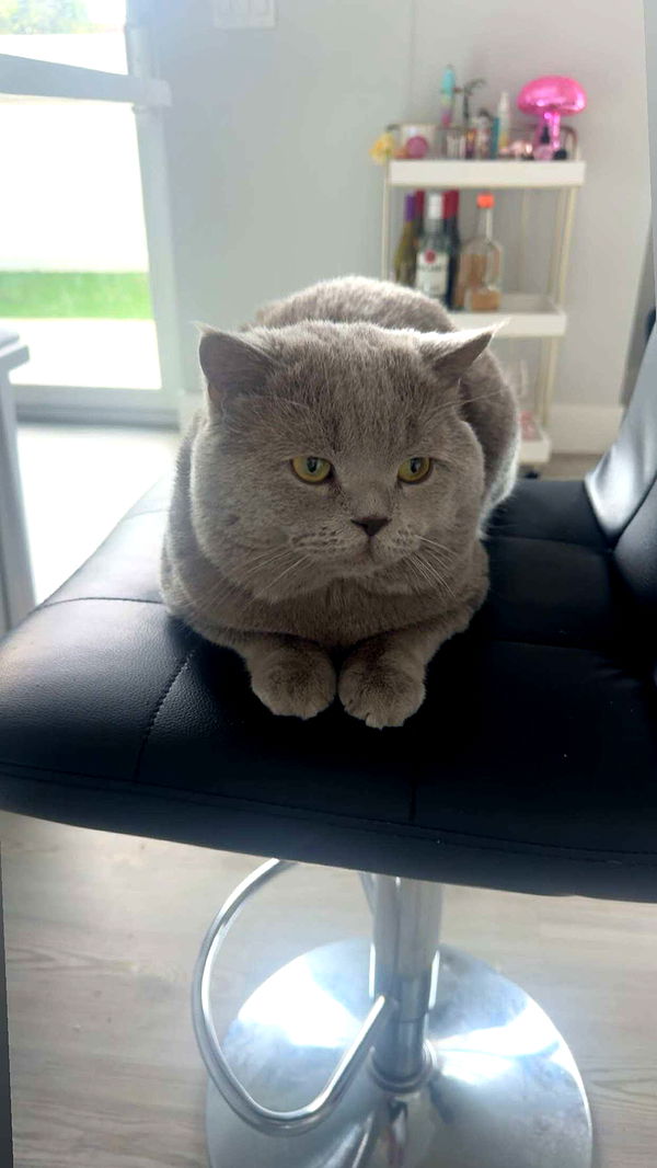 sadie.mckenna image ~ Altpins