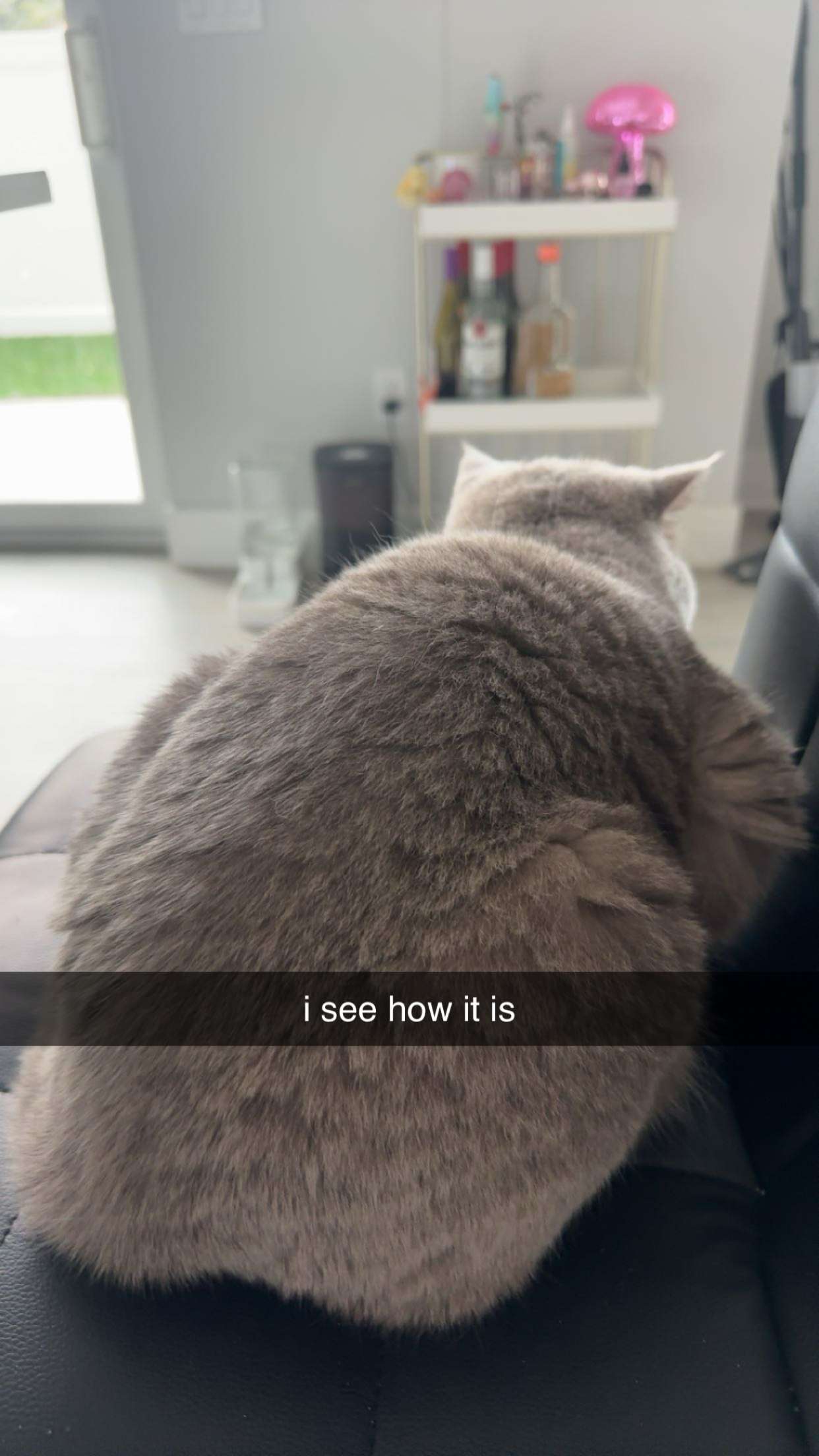 sadie.mckenna snapchat image archive image