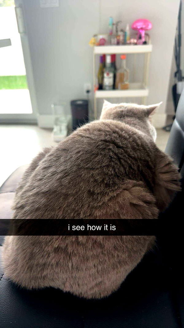 sadie.mckenna image ~ Altpins