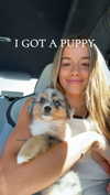 sadie.mckenna Altpins Profile Picture