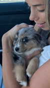 sadie.mckenna Altpins Profile Picture