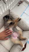 sadie.mckenna Altpins Profile Picture