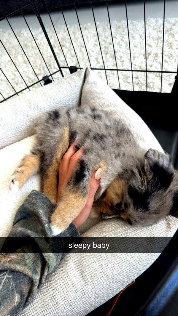 sadie.mckenna snapchat image archive image