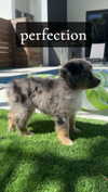 sadie.mckenna Altpins Profile Picture