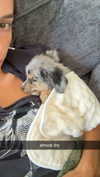 sadie.mckenna Altpins Profile Picture