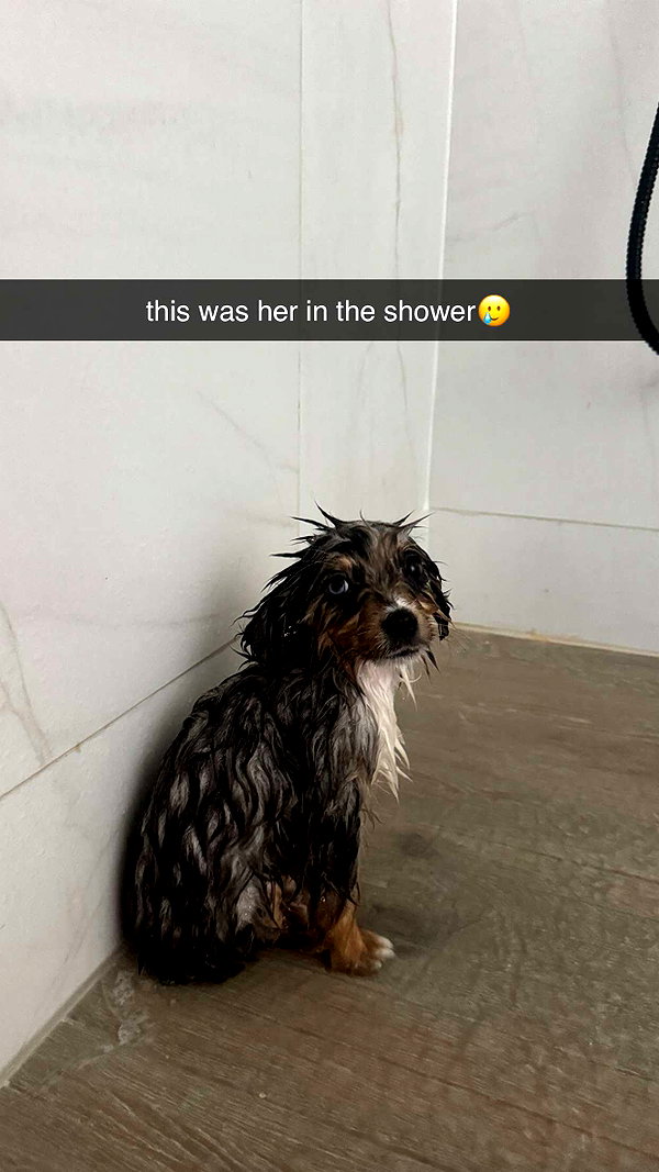 sadie.mckenna snapchat image archive image