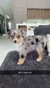 sadie.mckenna Altpins Profile Picture