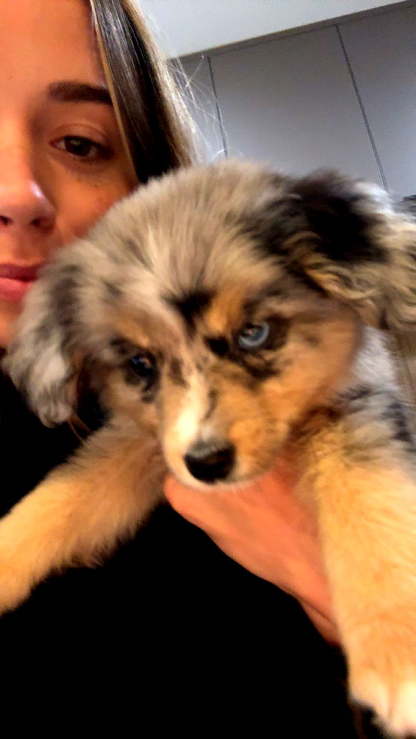 sadie.mckenna image ~ Altpins