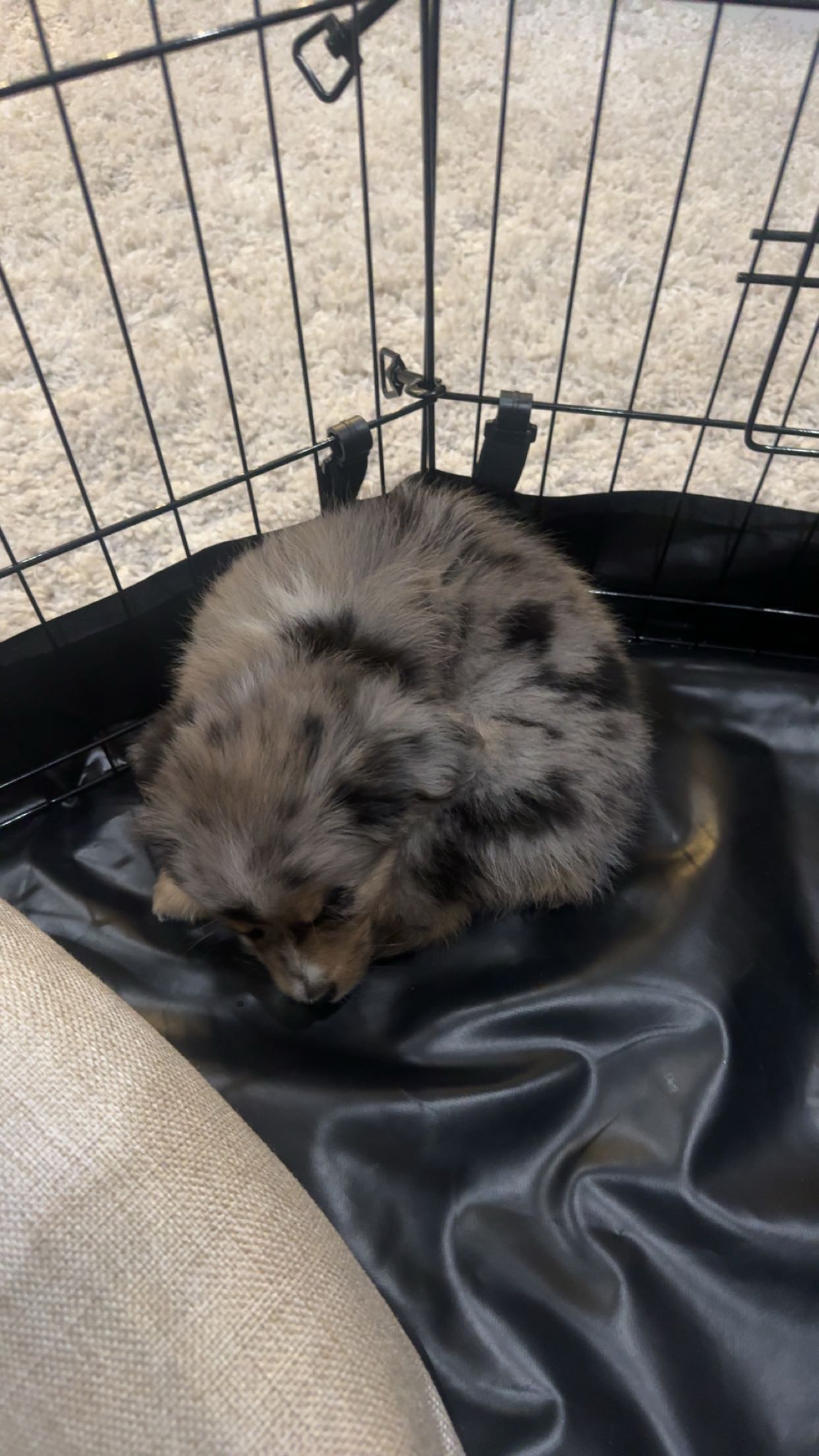 sadie.mckenna snapchat image archive image