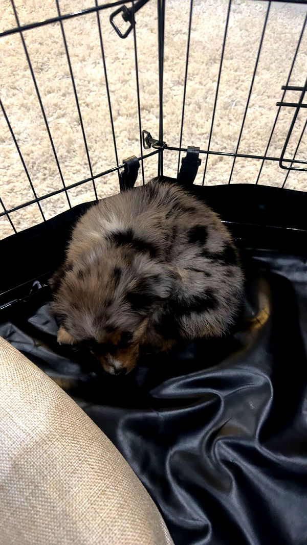 sadie.mckenna image ~ Altpins